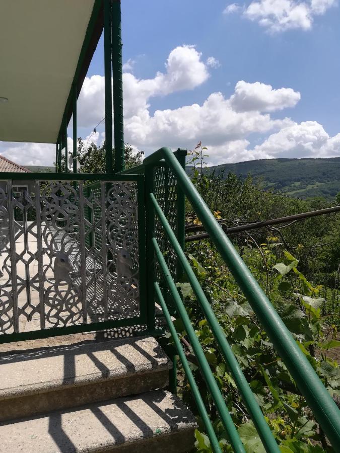 Guest House Luka Manglisi 外观 照片